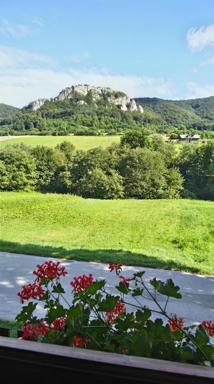 Penzion Manin Považská Bystrica Buitenkant foto